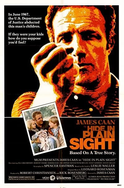 Hide In Plain Sight (1980) afişi Hide In Plain Sight (1980) afişi