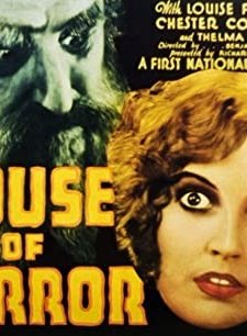 House Of Horror (1929) afişi