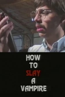 How To Slay A Vampire (1995) afişi