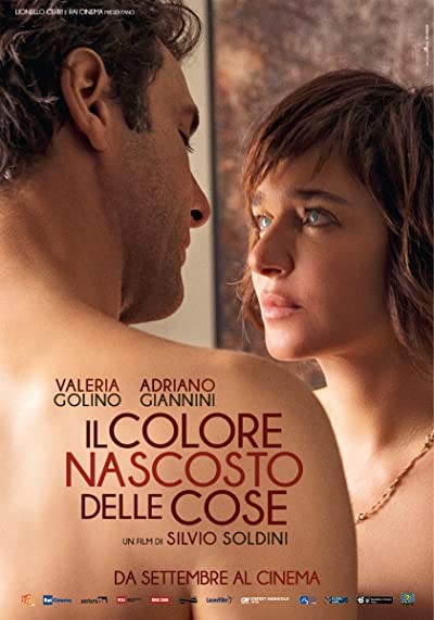 Il colore nascosto delle cose (2017) afişi Il colore nascosto delle cose (2017) afişi