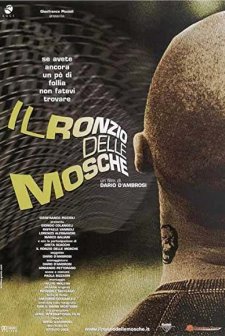 ıl Ronzio Delle Mosche