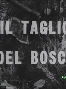 Il taglio del bosco (1963) afişi