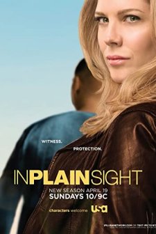 ın Plain Sight (2008) afişi
