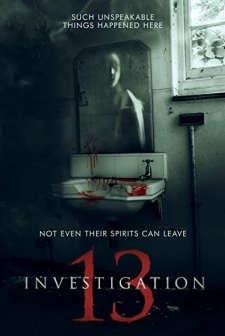 Investigation 13 (2019) afişi