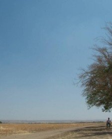 Kaybedenler (2009) afişi