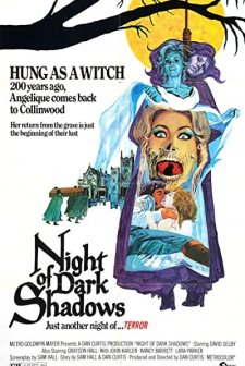 Kara Gölgelerin Gecesi (1971) afişi