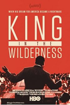 King In The Wilderness (2018) afişi