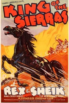 King Of The Sierras (1938) afişi