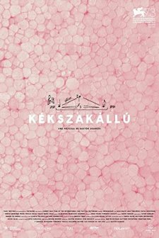 Kékszakállú (2016) afişi