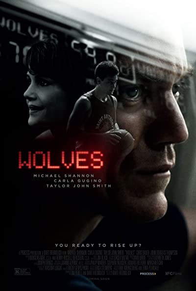 Kurtlar (2016) afişi