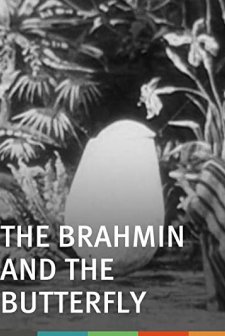 La Chrysalide Et Le Papillon D'or (1901) afişi