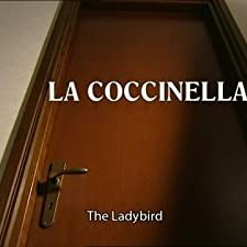 La coccinella (1999) afişi
