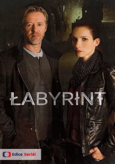 Labyrint (2015) afişi Labyrint (2015) afişi