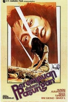 Lady In A Trap (1980) afişi