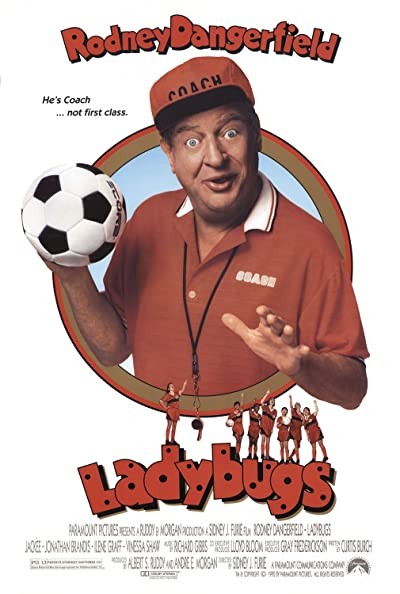 Ladybugs (1992) afişi Ladybugs (1992) afişi