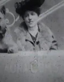 Laura Comstock's Bag-punching Dog