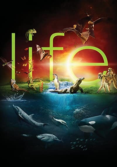 Life (2009) afişi Life (2009) afişi