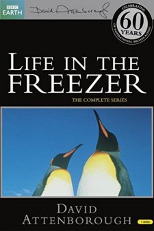 Life In The Freezer (1993) afişi