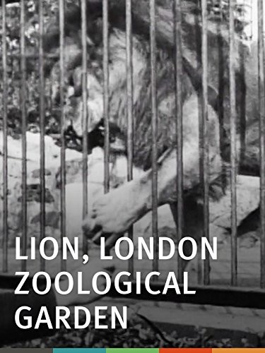 Lion, London Zoological Garden (1896) afişi Lion, London Zoological Garden (1896) afişi