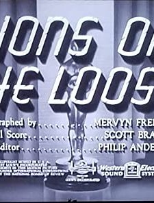 Lions On The Loose (1941) afişi