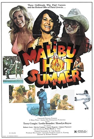 Malibu Hot Summer (1981) afişi Malibu Hot Summer (1981) afişi