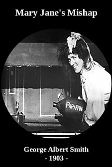 Mary Jane's Mishap (1903) afişi