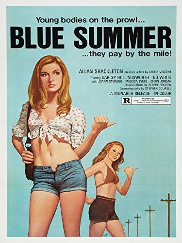 Mavi Yaz (1973) afişi Mavi Yaz (1973) afişi