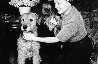 Mädchen Für Alles (1937) afişi Mädchen Für Alles (1937) afişi