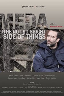 Meda Sau Partea Nu Prea Fericita a Lucrurilor (2017) afişi