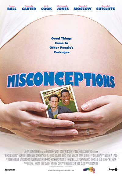 Misconceptions (2008) afişi Misconceptions (2008) afişi