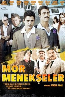 Mor Menekşeler (2011) afişi