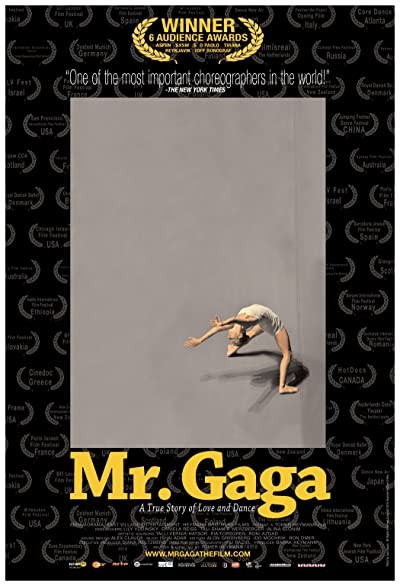 Mr. Gaga (2015) afişi Mr. Gaga (2015) afişi