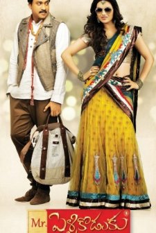 Mr. Pellikodukku (2013) afişi