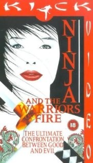 Ninja And The Warriors Of Fire