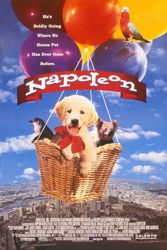 Napoleon (1995) afişi