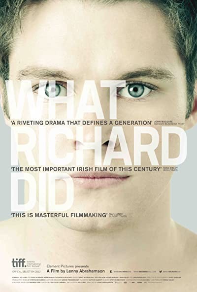Ne Yaptın Richard? (2012) afişi Ne Yaptın Richard? (2012) afişi