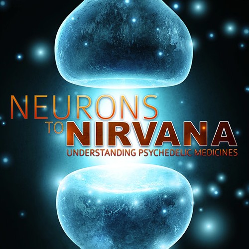 Neurons to Nirvana: Understanding Psychedelic Medicines (2013) afişi Neurons to Nirvana: Understanding Psychedelic Medicines (2013) afişi