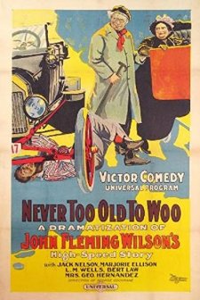 Never Too Old To Woo (1917) afişi