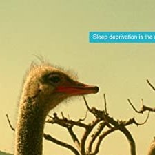 New Acid (2019) afişi