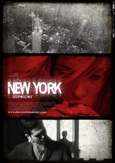 New York November (2011) afişi