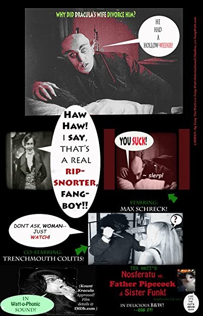Nosferatu vs. Father Pipecock & Sister Funk (2014) afişi Nosferatu vs. Father Pipecock & Sister Funk (2014) afişi