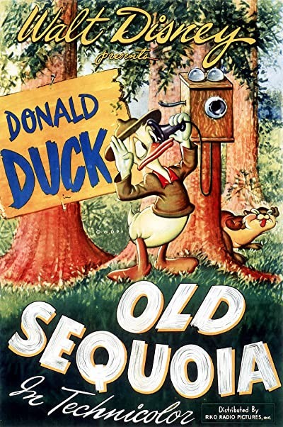 Old Sequoia (1945) afişi Old Sequoia (1945) afişi