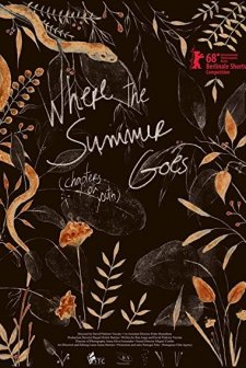 Onde o Verão Vai: episódios da juventude