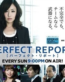 Perfect Report (2010) afişi