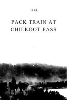 Pack Train At Chilkoot Pass