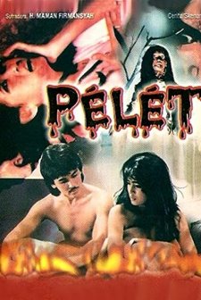 Pelet (1987) afişi