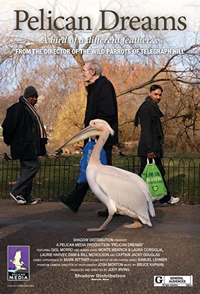 Pelican Dreams (2014) afişi Pelican Dreams (2014) afişi