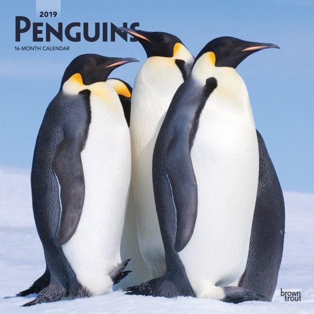 Penguins