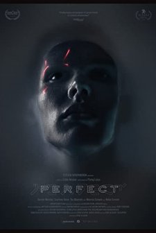 Perfect (2018) afişi