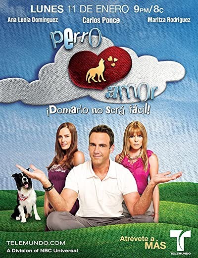 Perro Amor (2010) afişi Perro Amor (2010) afişi